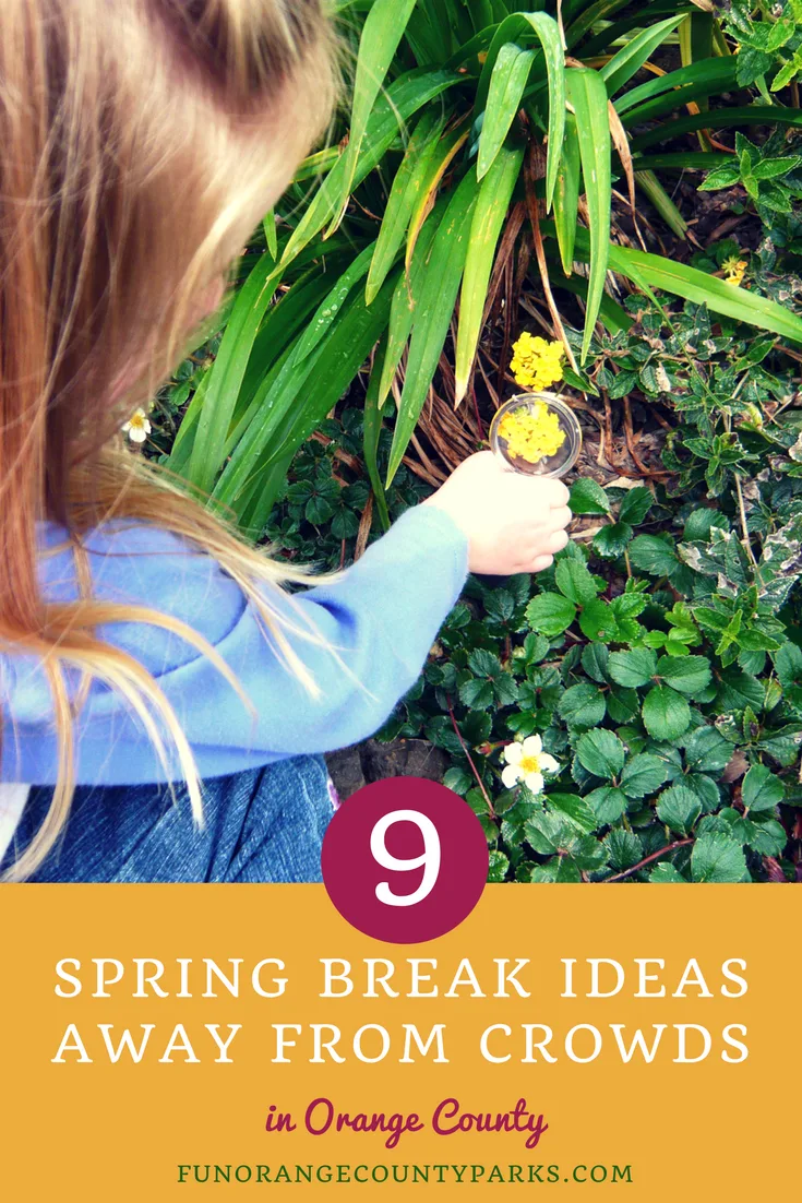 spring break ideas away from crowds pin image