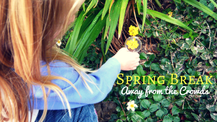 9 Ideas for Spring Break Family Activities Away From The Crowds
