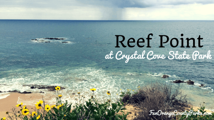 Reef Point at Crystal Cove State Park