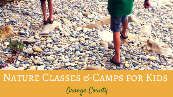 Nature Classes and Camps for Kids in Orange County