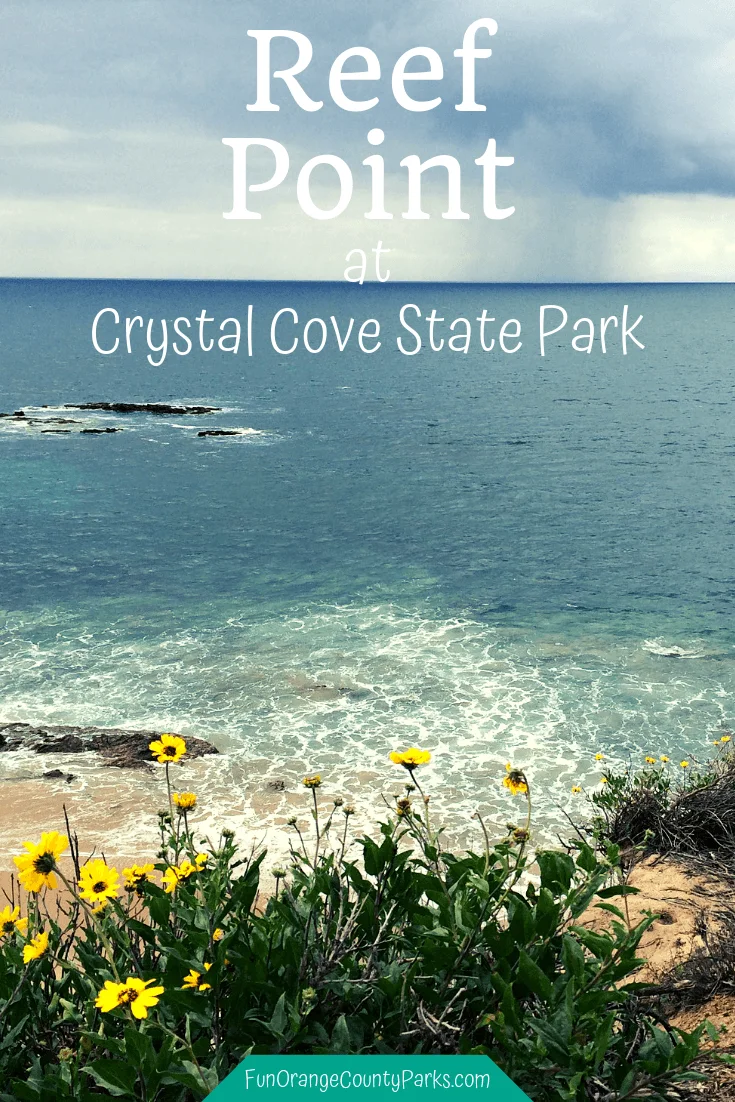 Reef Point Crystal Cove State Park | Ocean Views with Native Flowers