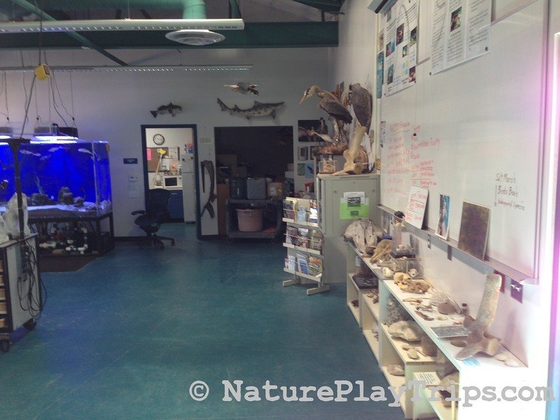 Back Bay Science Center Community Days in Newport Beach