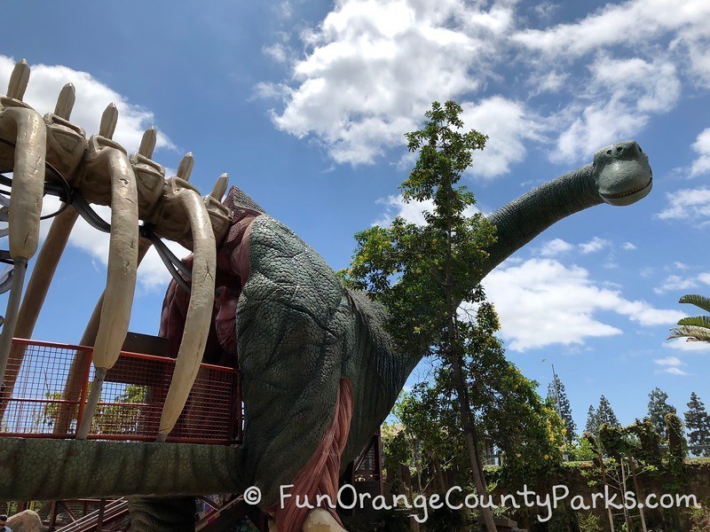 dino quest at discovery cube oc