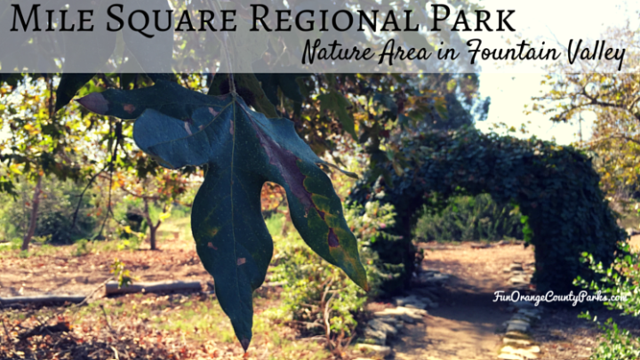 Mile Square Park Nature Area