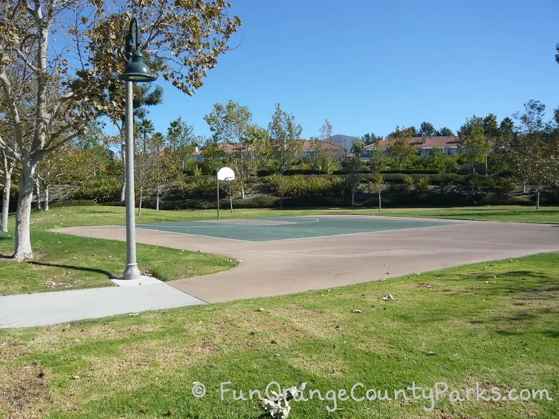 Half basketball court set in lawn area with sycamore trees surrounding the court