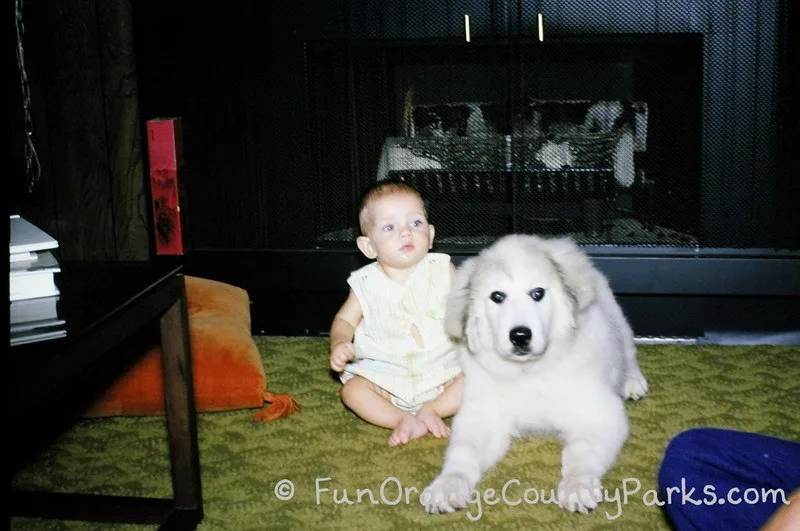 places for babies to play - puppy with baby