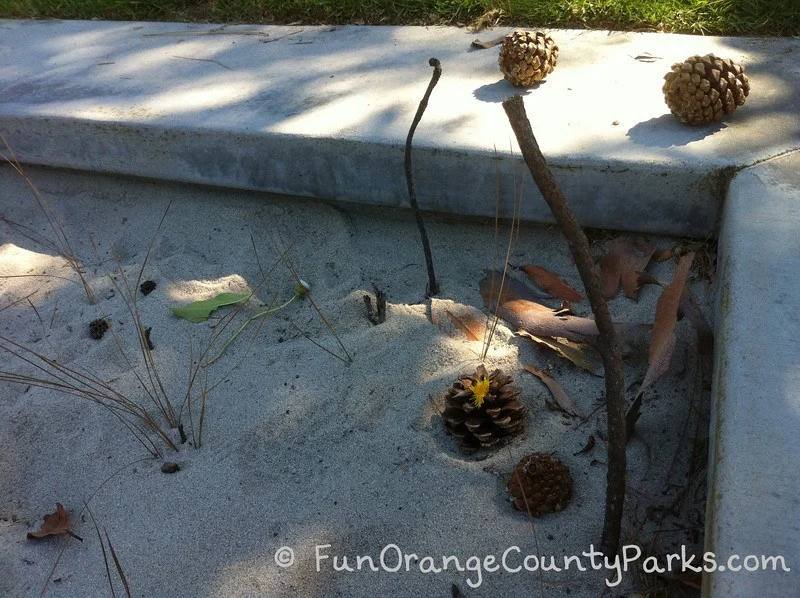 parks and beaches parking passes - sandbox with pine cones and sticks