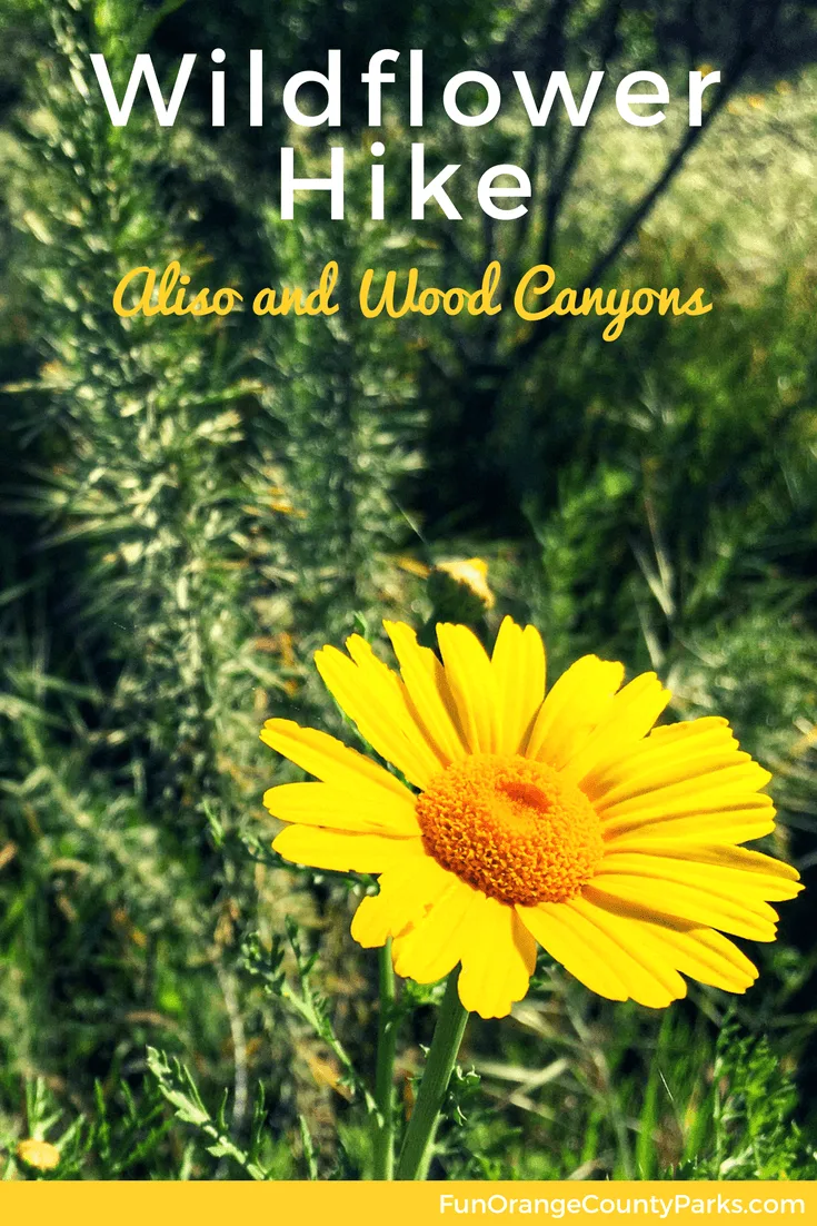 Wildflower Hike Aliso and Wood Canyons pin