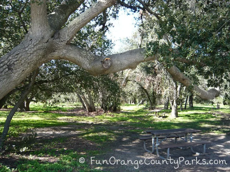 wooded trails near playground