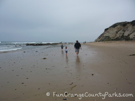 father and two small children walking along shoreline facing away from camera at empty beach with tidepools ahead at Crystal Cove State Park