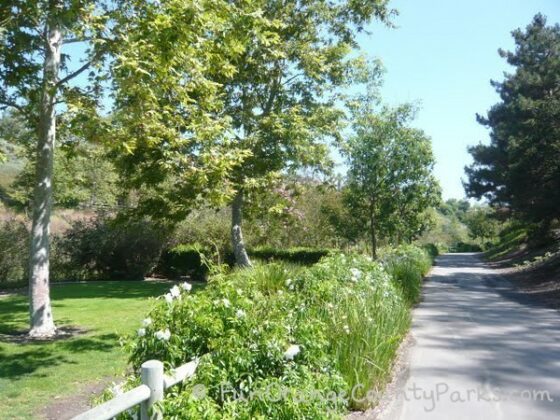 paved asphalt path near a green area with trees and lawn