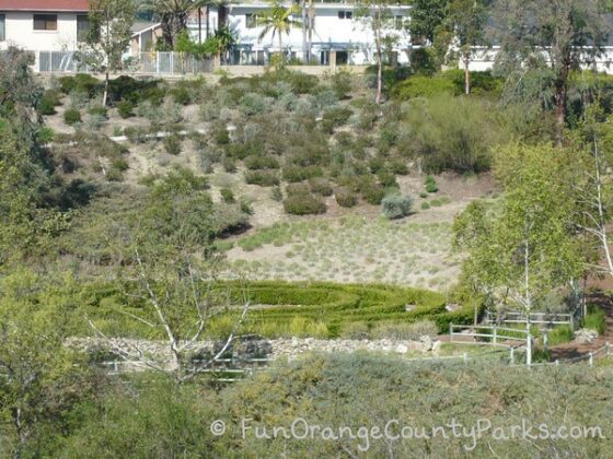 plant maze in the shape of a circle visible from the playground equipment