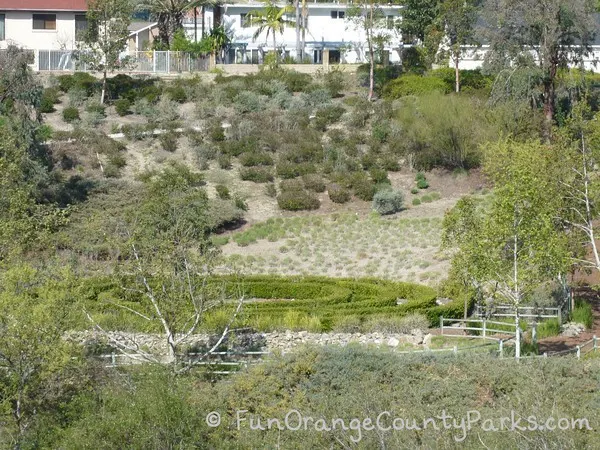 plant maze in the shape of a circle visible from the playground equipment