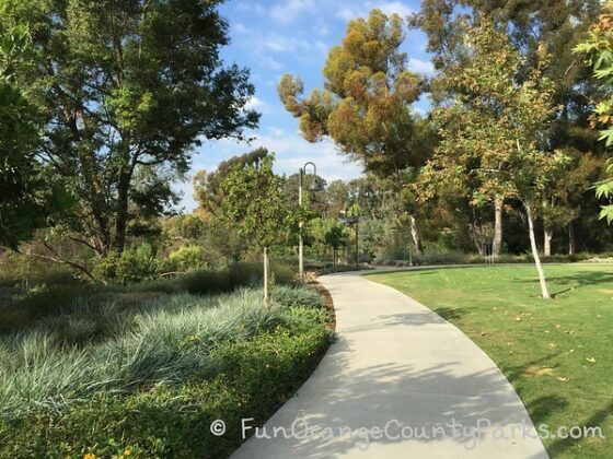 sidewalk winding through trees with grass and manicured landscaping