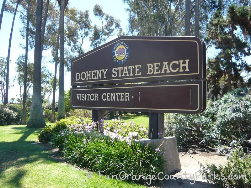 Doheny State Beach and Dana Point Harbor - Fun Orange County Parks