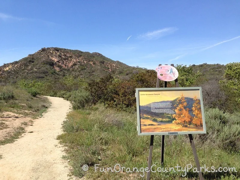 nix nature center green hills in spring with little sycamore canyon sign along trail