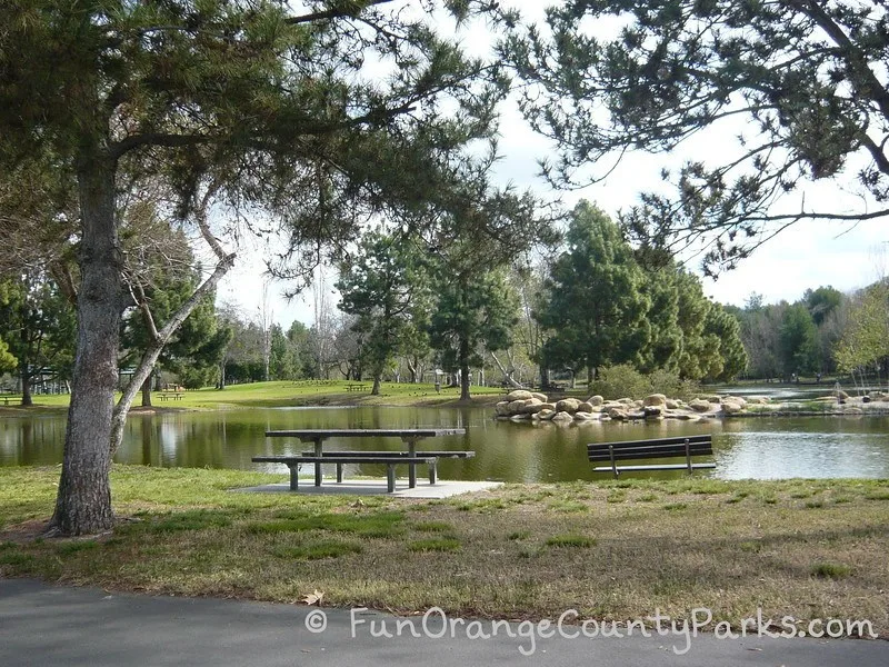 A picnic table and bench along the lake at Yorba Regional Park. Pine trees and grassy areas dot the landscape.