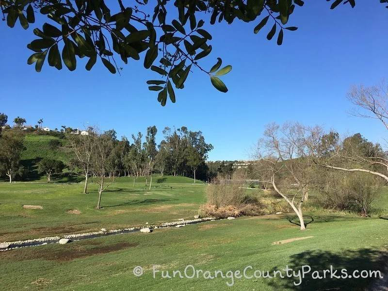 laguna niguel regional park grassy area