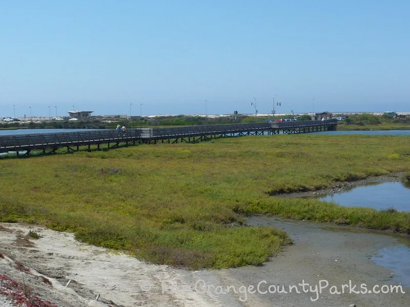 Bolsa Chica Ecological Preserve wooden bridge over the wetlands with water and marsh plants. Beach visible in the background.