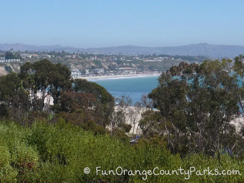 peekaboo view of Doheny Beach from the bluff near the park