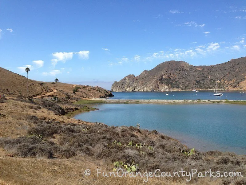 Cat Harbor at the Isthmus at Catalina Harbor