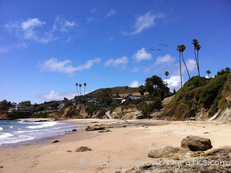 what to bring to the beach - ocean waves with palm trees and beach rocks in the sand