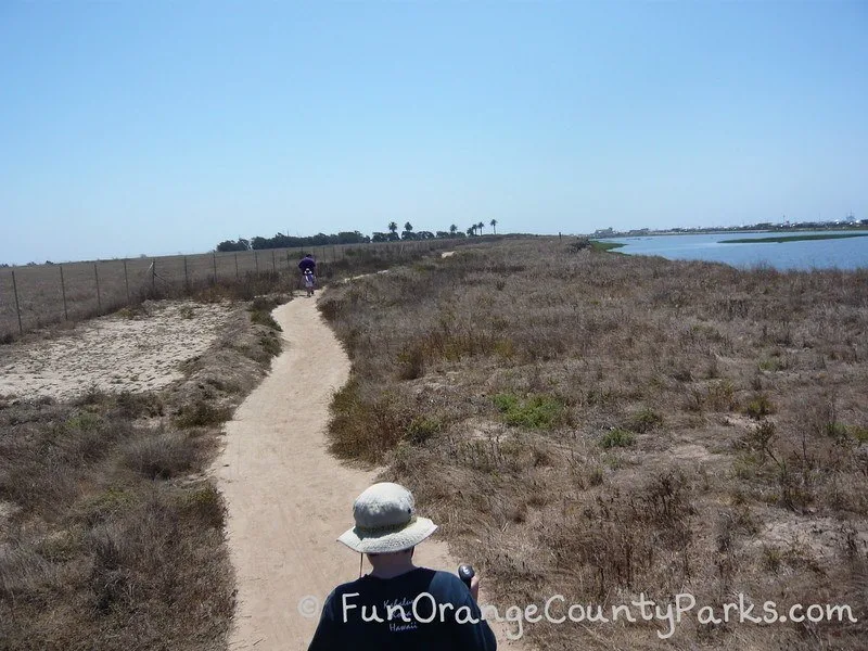 trail in summer