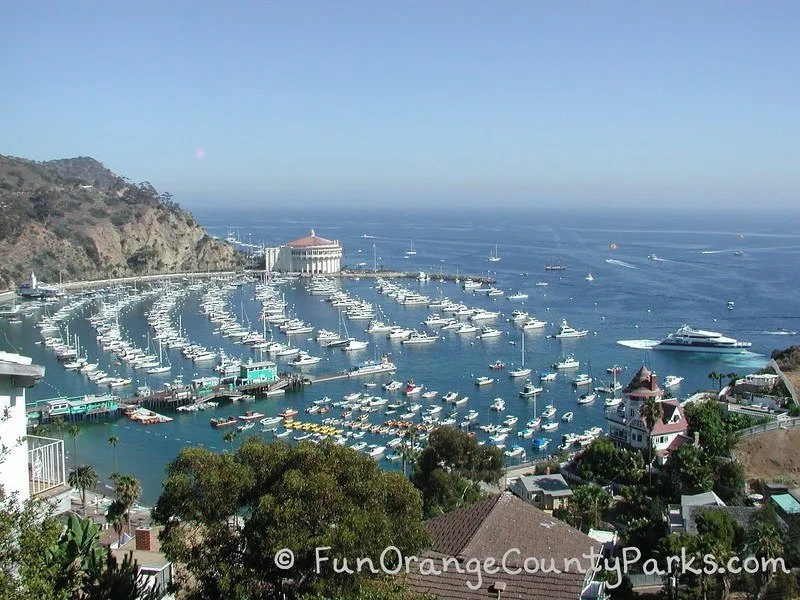 Avalon Harbor at Catalina Island aerial view