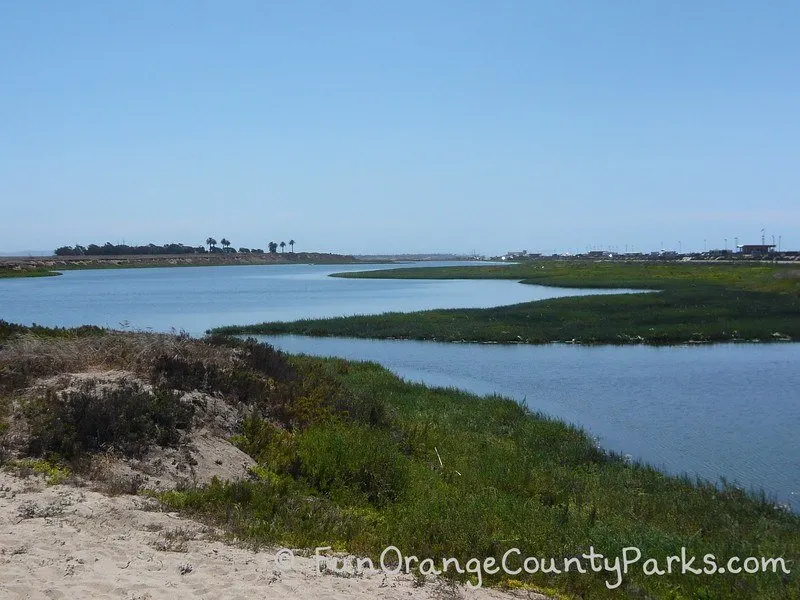 bolsa chica wetlands huntington beach - view of wetlands