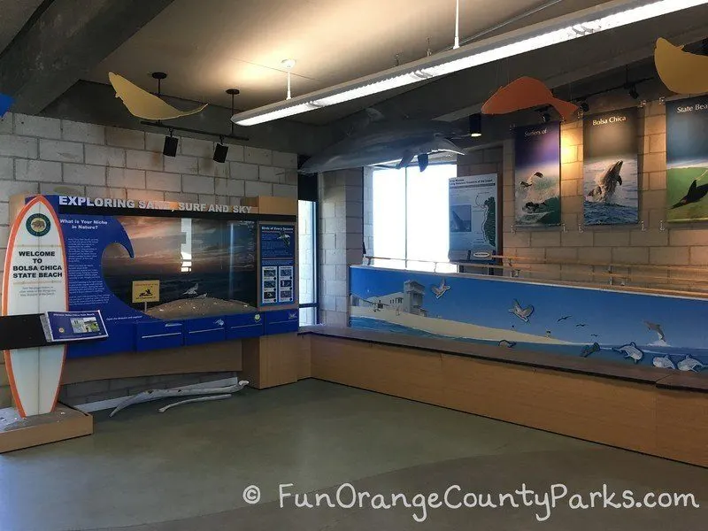 Bolsa Chica State Beach - inside the interpretive center