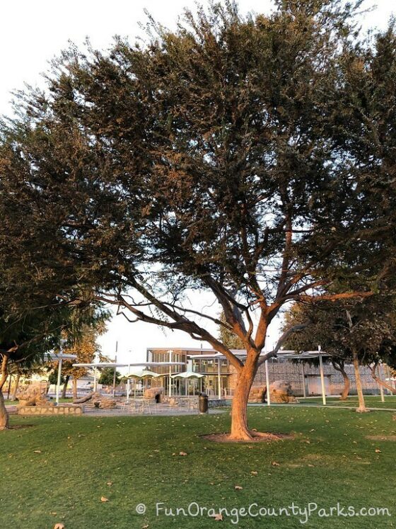 oc great park trees