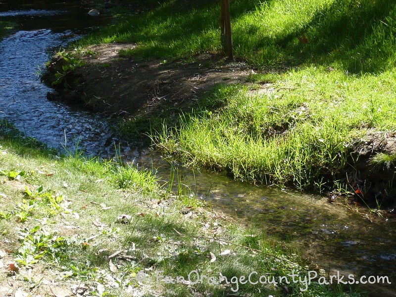 turtle rock nature center stream