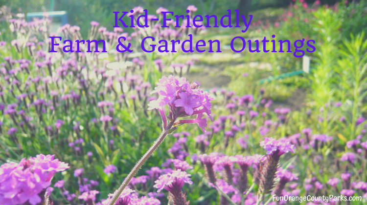 7+ Kid-Friendly Farm and Garden Outings
