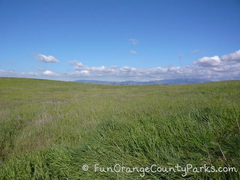 quail hill loop trail grass area with view of mountains