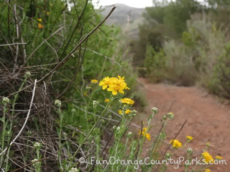 places to go green hills - tucker wildlife sanctuary