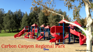Carbon Canyon Regional Park in Brea: The $5 Park with $10 Worth of Fun