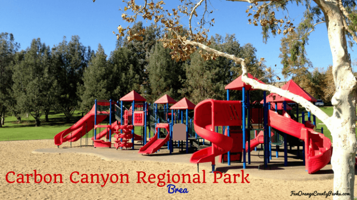 Carbon Canyon Regional Park in Brea: The $5 Park with $10 Worth of Fun