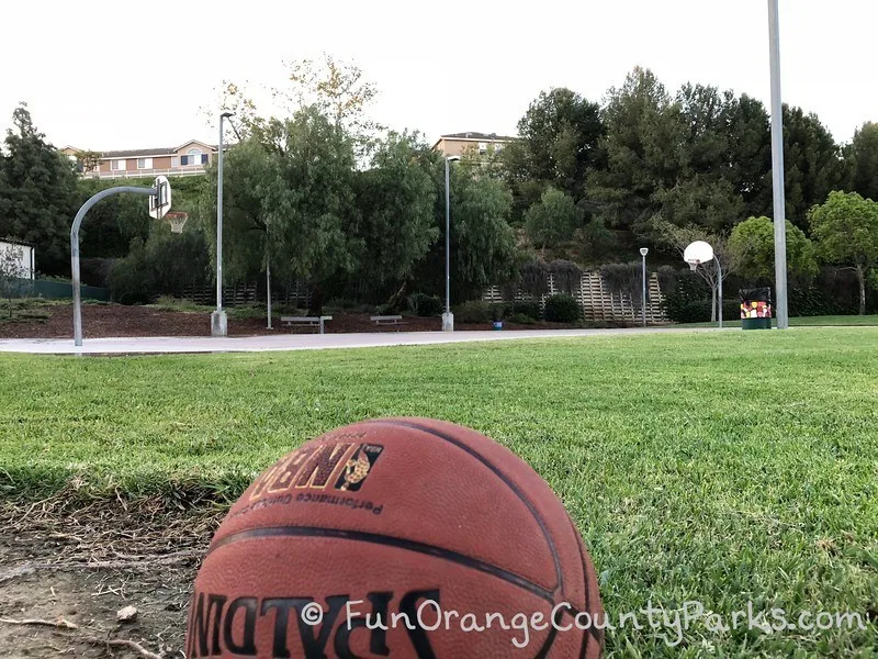 basketball in the foreground and full basketball court past a lawn area