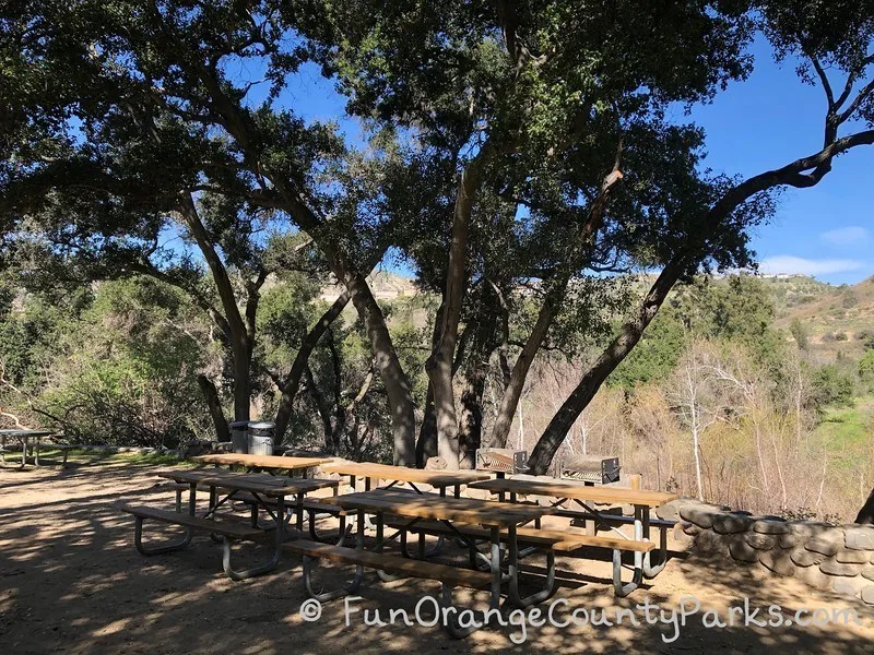 santiago oaks picnic area