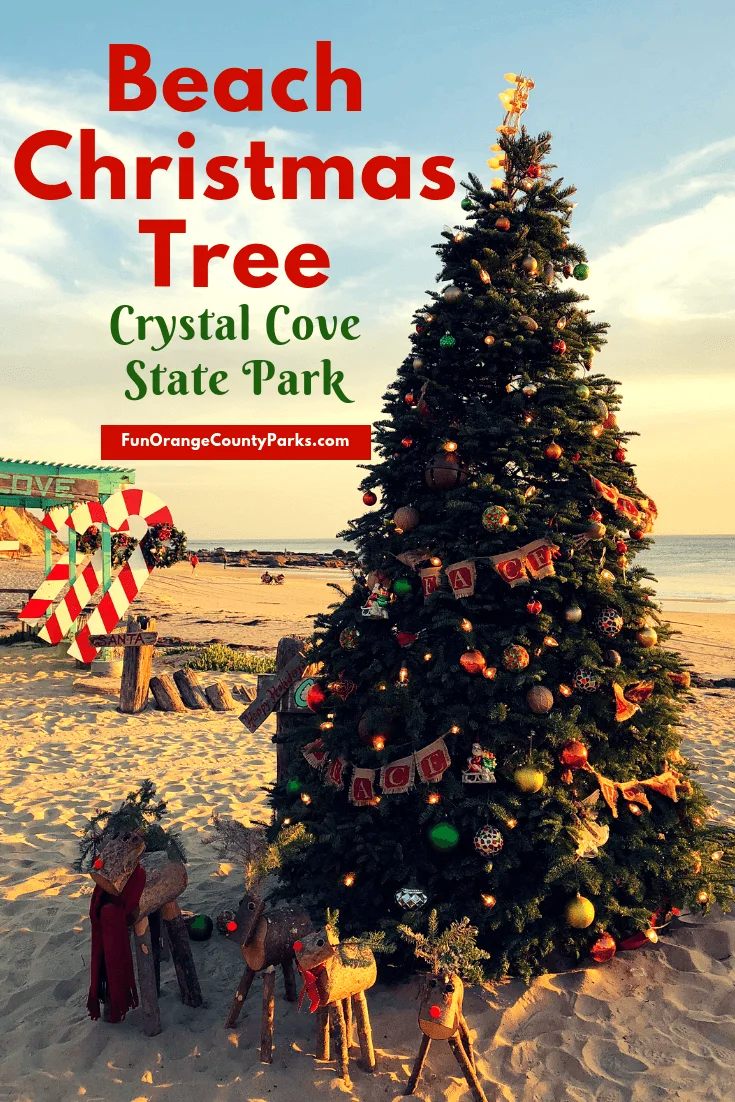 Beach Christmas Tree at Crystal Cove State Park
