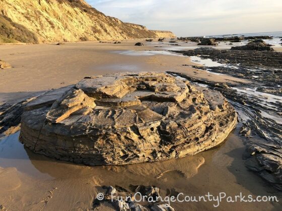 beach christmas tree crystal cove tidepool walk at sunset