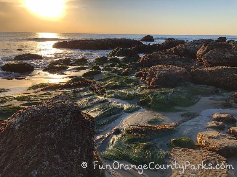 Crystal Cove tidepools and sunset