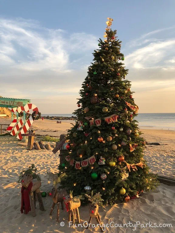 Beach Christmas tree Crystal Cove with reindeer and view of tidepools