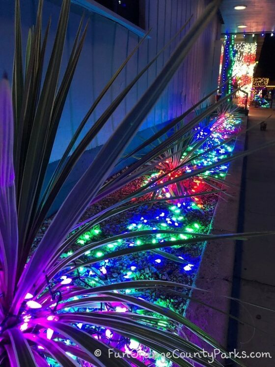 Holiday Lights at Dana Point Harbor 2024