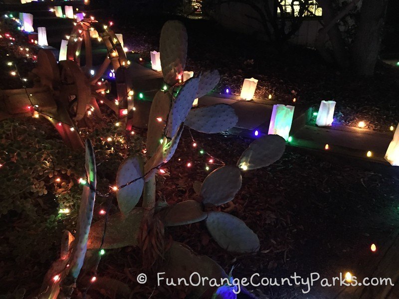 Candlelight Walk at Heritage Hill cactus with holiday lights