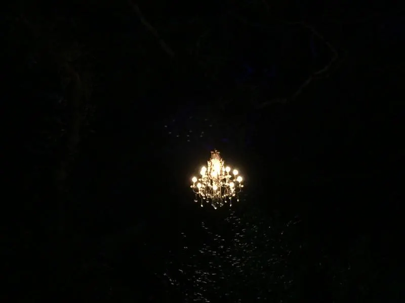 Enchanted Forest of Light floating chandelier