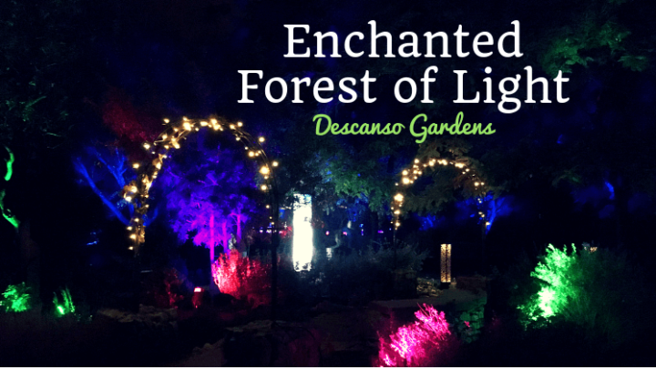 Enchanted Forest of Light at Descanso Gardens 2022