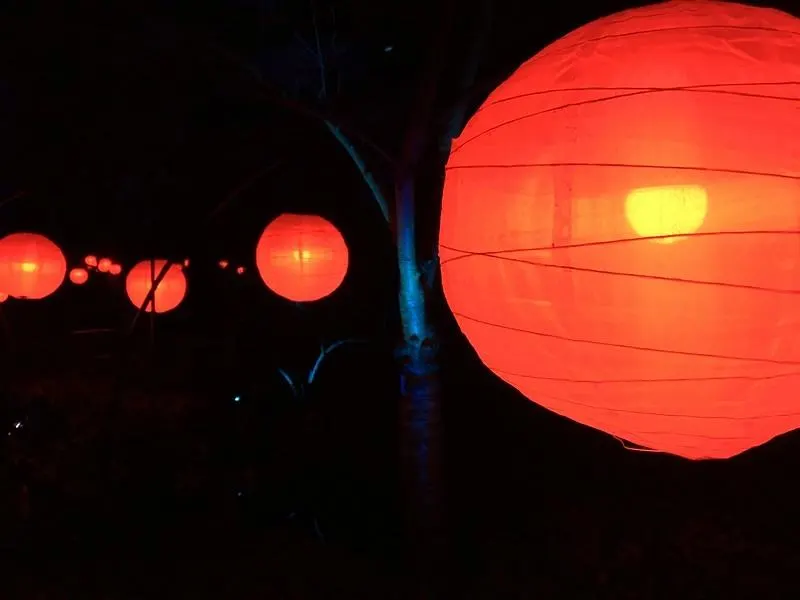 Enchanted Forest of Light red lanterns