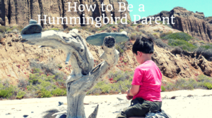 How to Be a Hummingbird Parent