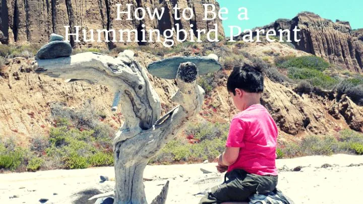 how to be a hummingbird parent featured photo